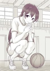 Rule 34 | 1girl, ball, basketball, basketball (object), commentary request, gym shirt, gym shorts, gym uniform, hair between eyes, indoors, kitiroku, long hair, looking at viewer, love live!, love live! school idol project, monochrome, shirt, shorts, smile, solo, sonoda umi, squatting, steepled fingers
