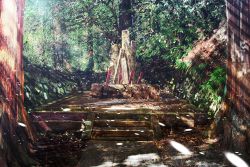 Rule 34 | bad id, bad pixiv id, forest, light particles, light rays, nature, no humans, original, outdoors, scenery, shrine, stairs, tree, zennmai siki
