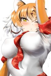 Rule 34 | 1girl, animal ear fluff, animal ears, arms up, black hair, blush, breasts, button shirt, closed mouth, collarbone, covered erect nipples, eyelashes, female focus, gloves, highres, kemono friends, large breasts, looking at viewer, multicolored hair, necktie, one eye closed, orange gloves, orange hair, red necktie, red skirt, shirt, short hair, simple background, skirt, solo, tiger (kemono friends), tiger ears, tiger girl, upper body, white background, white hair, white shirt, yellow eyes, ykt scl