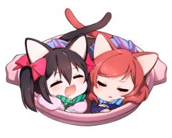 Rule 34 | 10s, 2girls, :d, animal ears, black hair, blush, bow, bowtie, cat ears, cat tail, chibi, closed eyes, drooling, hair between eyes, hair bow, in container, kemonomimi mode, long sleeves, love live!, love live! school idol project, multiple girls, neko nabe, ng (kimjae737), nishikino maki, open mouth, pink bow, red hair, short hair, simple background, sleeping, smile, striped bow, striped bowtie, striped clothes, striped neckwear, swept bangs, tail, twintails, white background, yazawa nico