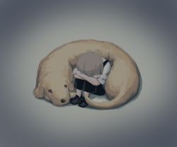Rule 34 | 1boy, absurdres, avogado6, crying, curled up, dog, grey background, grey hair, highres, hugging own legs, male focus, original, shorts, simple background, solo, suspender shorts, suspenders, tears
