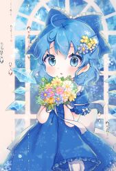 Rule 34 | 1girl, :o, adapted costume, bloomers, blue background, blue dress, blue eyes, blue hair, blush, bouquet, bow, chibi, cirno, commentary request, cowboy shot, daisy, dress, flower, hair bow, hair flower, hair ornament, highres, holding, holding bouquet, looking at viewer, partial commentary, puffy short sleeves, puffy sleeves, short hair, short sleeves, snowflake print, snowflakes, solo, standing, suzukkyu, touhou, underwear, water drop, window, wings