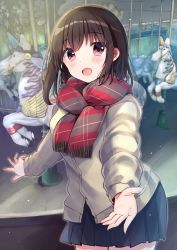 Rule 34 | 1girl, :d, bad id, bad pixiv id, blue skirt, blush, brown hair, brown jacket, brown scarf, carousel, commentary request, cowboy shot, fang, fingernails, fringe trim, hair between eyes, highres, jacket, long hair, long sleeves, looking at viewer, minami saki, multicolored clothes, multicolored scarf, open mouth, original, outstretched arm, pleated skirt, puffy long sleeves, puffy sleeves, red eyes, red scarf, scarf, skirt, smile, solo, standing