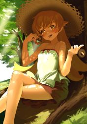 Rule 34 | 1girl, absurdres, bare shoulders, blonde hair, blush, breasts, collarbone, commentary, crossed legs, doughnut, dress, dutch angle, feet out of frame, female focus, food, food in mouth, grass, hat, highres, holding, holding food, index finger raised, long hair, looking at viewer, monogatari (series), mouth hold, open mouth, oshino shinobu, outdoors, pointy ears, shade, shaded face, sitting, sleeveless, sleeveless dress, small breasts, smile, solo, straw hat, sun hat, sundress, swept bangs, tree, white dress, yellow eyes, zyaki