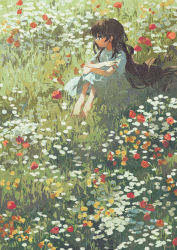 Rule 34 | 1girl, blue eyes, brown hair, crossed arms, dress, expressionless, field, flower, flower field, grass, highres, knees up, legs together, long hair, original, plant, potg (piotegu), short sleeves, sitting, solo, white dress
