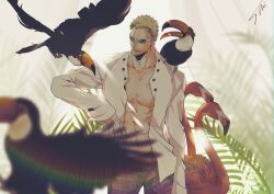 Rule 34 | 1boy, absurdres, animal, animal on shoulder, bird, bird on shoulder, blonde hair, donquixote doflamingo, flamingo, hand up, highres, long sleeves, male focus, one piece, open clothes, open shirt, plant, red-tinted eyewear, shirt, short hair, signature, sk c ii, smile, solo, standing, sunglasses, tinted eyewear, toucan, white shirt