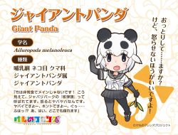 Rule 34 | animal ears, giant panda (kemono friends), gloves, highres, kemono friends, kemono friends 2, necktie, official art, shirt, skirt, tail, yoshizaki mine