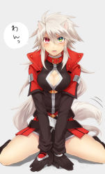 Rule 34 | 1girl, alpha-01, animal ears, belt, blazblue, blush, breasts, cleavage cutout, clothing cutout, collar, dog ears, dog tail, genderswap, genderswap (mtf), gloves, green eyes, heterochromia, jacket, long hair, looking at viewer, medium breasts, open mouth, ragna the bloodedge, red eyes, silver hair, sitting, solo, tail, tomo (tomorag7), translated, v arms, very long hair, wariza