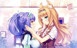 Rule 34 | 10s, 2girls, :3, animal ears, artist name, bell, blonde hair, blurry, blurry background, bow, breasts, cat ears, character name, cinnamon (nekopara), curly hair, depth of field, eye contact, green eyes, hair ribbon, hand on another&#039;s cheek, hand on another&#039;s face, headdress, jingle bell, large breasts, long hair, looking at another, maid headdress, maple (nekopara), multiple girls, name tag, nekopara, ponytail, profile, purple hair, ribbon, sayori (neko works), slit pupils, smile, tears, upper body, wallpaper, yellow eyes