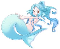 Rule 34 | 1girl, blue hair, convenient censoring, female focus, fins, frfr, head fins, long hair, mermaid, monster girl, simple background, smile, solo, topless, white background