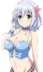 Rule 34 | 10s, 1girl, amagi brilliant park, bare shoulders, blue hair, blush, breasts, cleavage, collar, collarbone, earrings, extraction, female focus, flower, green eyes, hair flower, hair ornament, jewelry, large breasts, looking at viewer, midriff, muse (amaburi), navel, smile, solo, transparent background