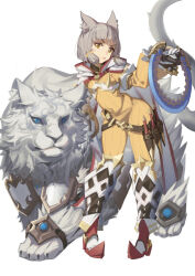 Rule 34 | 1girl, animal ears, armored boots, belt, blunt bangs, bob cut, boots, cat ears, cat girl, chakram, dagger, dromarch (xenoblade), full body, grey hair, highres, holding, holding weapon, jumpsuit, knife, lion, long sleeves, looking at viewer, newflame, nia (xenoblade), sheath, sheathed, short hair, simple background, solo, standing, tongue, tongue out, v-shaped eyebrows, weapon, white background, white hood, xenoblade chronicles (series), xenoblade chronicles 2, yellow eyes, yellow jumpsuit