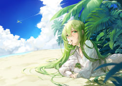 Rule 34 | 1boy, androgynous, beach, blue sky, blurry, cloud, contrail, dappled sunlight, day, depth of field, enkidu (fate), eyelashes, fate (series), flower, flying, green eyes, green hair, hair between eyes, long hair, long sleeves, looking at viewer, lying, male focus, midriff, mouth hold, ocean, on ground, on stomach, outdoors, plant, robe, saki (nighters), sand, sky, solo, sunlight, very long hair, white flower