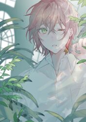 Rule 34 | 10 io, 1boy, blurry, collared shirt, crossed bangs, depth of field, earrings, green eyes, hair behind ear, hair between eyes, hand up, highres, holostars, indoors, jewelry, leaf, looking at viewer, male focus, one eye closed, open collar, parted lips, pink hair, plant, rikka (holostars), shirt, short hair, sidelighting, single earring, solo, upper body, virtual youtuber, white shirt, window