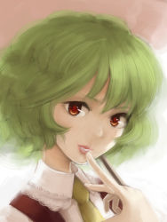 Rule 34 | 1girl, ascot, bad id, bad pixiv id, female focus, finger to mouth, green hair, kazami yuuka, lips, looking at viewer, portrait, red eyes, shirt, short hair, smile, solo, touhou, upper body, urin, vest