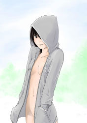 Rule 34 | 1girl, bottomless, brown eyes, covering privates, exhibitionism, hachinosuke, hair over one eye, hands in pockets, hood, hoodie, jacket, naked hoodie, no bra, no panties, nude cover, open clothes, open shirt, original, outdoors, public indecency, shirt, short hair, smile, solo, unzipped