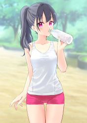 Rule 34 | 1girl, bare arms, bare shoulders, black hair, blurry, blurry background, bottle, breasts, commentary request, day, depth of field, hand up, haoriya chie (minidraco), highres, holding, holding bottle, looking at viewer, minidraco, original, outdoors, pink shorts, ponytail, purple eyes, short shorts, shorts, small breasts, solo, tank top, tree, water bottle, white tank top