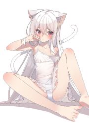 Rule 34 | animal ears, barefoot, blush, cat ears, cat girl, cat tail, closed mouth, commentary, dress, flat chest, full body, hair between eyes, hand in own hair, hand on own cheek, hand on own face, highres, long hair, looking ahead, no bra, original, panties, red eyes, see-through, see-through dress, shadow, shiro youduki, short dress, simple background, sitting, sleeveless, sleeveless dress, slit pupils, spread legs, straight hair, strap slip, tail, underwear, very long hair, white background, white dress, white hair, white panties