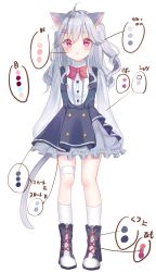 Rule 34 | 1girl, animal ear fluff, animal ears, arry (arrysub), boots, cat ears, cat girl, cat tail, color guide, dress, full body, highres, long hair, one side up, original, pink eyes, shirt, silver hair, tail, thigh strap, wavy hair, white shirt