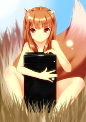 Rule 34 | 1girl, animal ears, blush, brown hair, casual nudity, computer, holo, murasaki imo, nude, nude in front of computer, red eyes, sitting, solo, spice and wolf, tail, wolf ears, wolf tail
