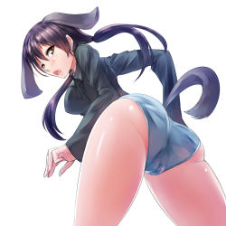 Rule 34 | 1girl, animal ears, ass, blue panties, brown eyes, brown hair, dog ears, dog tail, female focus, from below, gertrud barkhorn, highres, looking at viewer, looking back, military, military uniform, nanjyolno, no pants, open mouth, panties, pantyshot, solo, strike witches, tail, thighs, twintails, underwear, uniform, world witches series