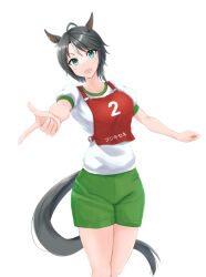 Rule 34 | 1girl, animal ears, black hair, character name, commentary, ear ornament, fuji kiseki (umamusume), green shorts, highres, horse ears, horse girl, kemuri (etep3372), looking at viewer, multicolored hair, open mouth, pointing, pointing at viewer, race bib, shirt, short hair, short sleeves, shorts, simple background, smile, solo, standing, streaked hair, t-shirt, translated, umamusume, white background, white shirt