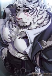 Rule 34 | 1boy, abs, animal ears, arknights, bara, bare pectorals, black pants, blue eyes, bulge, chest hair, feet out of frame, fluffy, from above, furry, furry male, hand on own hip, harness, jacket, large pectorals, looking at viewer, male focus, medium hair, mountain (arknights), mountain (dark cloud) (arknights), muscular, muscular male, navel, navel hair, nipples, official alternate costume, open clothes, open jacket, open shirt, paid reward available, pants, pectorals, paid reward available, scar, scar across eye, scar on face, shoulder spikes, sollyz, solo, spikes, stomach, thick eyebrows, tiger boy, tiger ears, white fur, white hair