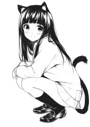 Rule 34 | 1girl, animal ears, blush, caidychen, cat ears, cat tail, full body, greyscale, highres, long hair, monochrome, original, school uniform, shoes, simple background, skirt, smile, solo, squatting, sweater, tail, white background