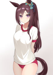Rule 34 | 1girl, absurdres, animal ears, astroglia cyte, blue bow, blush, bow, breasts, brown hair, buruma, closed mouth, collarbone, commentary request, ear bow, gradient background, grey background, gym shirt, gym uniform, hair between eyes, hair ornament, hairclip, highres, horse ears, horse girl, horse tail, long hair, looking at viewer, medium breasts, mejiro dober (umamusume), ponytail, puffy short sleeves, puffy sleeves, purple eyes, red buruma, shirt, short sleeves, sidelocks, solo, tail, umamusume, very long hair, white background, white shirt