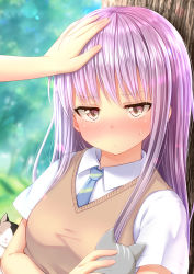 Rule 34 | 1girl, against tree, animal, bang dream!, blue neckwear, blurry, blurry background, blush, brown eyes, cat, collared shirt, commentary request, day, hand on another&#039;s head, haneoka school uniform, headpat, holding, holding animal, holding cat, long hair, looking at viewer, minato yukina, necktie, nose blush, outdoors, petting, purple hair, roron (r0r0r0r0 n), school uniform, shirt, short sleeves, slit pupils, solo focus, striped neckwear, sweatdrop, sweater vest, tree, upper body, white shirt