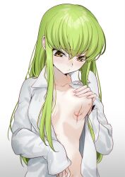 Rule 34 | 1girl, bite mark, breast lift, breasts, c.c., code geass, collarbone, creayus, green hair, grey shirt, hickey, long hair, medium breasts, open clothes, open shirt, shirt, simple background, solo, white background, yellow eyes