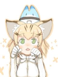Rule 34 | 10s, 1girl, animal ears, bare shoulders, belt, blonde hair, bow, bowtie, breasts, cat ears, clenched hands, commentary request, elbow gloves, eyelashes, gloves, green eyes, kemono friends, looking at another, looking at viewer, looking up, lucky beast (kemono friends), medium breasts, multicolored hair, nekomanma-sensei, on head, open mouth, outline, paw pose, sand cat (kemono friends), sanpaku, shirt, short hair, sketch, sparkle, streaked hair, tareme, triangle mouth, two-tone hair, upper body, white background, white shirt, | |
