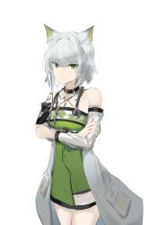 Rule 34 | 1girl, absurdres, animal ears, arknights, bare shoulders, black choker, cat ears, choker, coat, commentary, cowboy shot, dress, green dress, green eyes, grey coat, grey hair, highres, kal&#039;tsit (arknights), long sleeves, looking at viewer, off shoulder, open clothes, open coat, sarea (sarea2020), short dress, short hair, simple background, solo, standing, stethoscope, white background