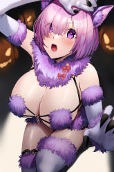 Rule 34 | 1girl, absurdres, animal ears, bare shoulders, bow, breasts, cleavage, elbow gloves, fate/grand order, fate (series), fur-trimmed gloves, fur-trimmed legwear, fur collar, fur trim, gloves, hair over one eye, halloween, highres, jack-o&#039;-lantern, lace, lace-trimmed legwear, lace trim, large breasts, light purple hair, looking at viewer, mash kyrielight, mash kyrielight (dangerous beast), navel, o-ring, official alternate costume, open mouth, pumpkin, purple eyes, purple gloves, purple legwear, revealing clothes, rororo, short hair, solo, tail, wolf ears, wolf tail