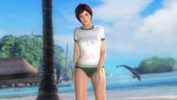 Rule 34 | 1girl, 3d, beach, breasts, buruma, character name, clothes writing, coconut tree, cowboy shot, day, dead or alive, dead or alive 5, dolphin, facing viewer, green buruma, gym uniform, large breasts, looking at viewer, mila (doa), ocean, official art, outdoors, palm tree, red hair, short hair, solo, spaniard, spanish (nationality), standing, translated, tree