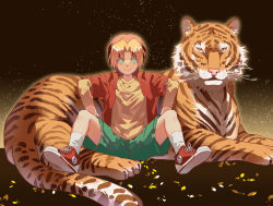 Rule 34 | 1boy, animal, aqua eyes, blonde hair, brown background, clothes writing, cyhgm, green eyes, green shorts, hikaru no go, jacket, knees up, leaning on animal, light particles, looking at viewer, male focus, multicolored hair, petals, red footwear, red hair, red jacket, shindou hikaru, shirt, shoe soles, shoes, short hair, shorts, sitting, smile, sneakers, socks, spread legs, t-shirt, tiger, two-tone hair, white socks, yellow shirt