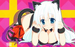 Rule 34 | 1girl, animal ears, armband, blue eyes, blush, breasts, cat ears, cat tail, cleavage, flolium blosselliand, highres, large breasts, long hair, lying, ribbon, shida kazuhiro, smile, solo, striped clothes, striped thighhighs, tail, tail ornament, tail ribbon, thigh gap, thighhighs, thighs, very long hair, wallpaper, white hair, wiz anniversary
