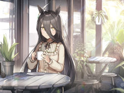 Rule 34 | 1girl, ahoge, animal ears, black hair, closed mouth, cup, earrings, frilled shirt collar, frills, hair between eyes, highres, holding, holding cup, horse ears, jewelry, kagerou (gigayasoma), long hair, manhattan cafe (umamusume), multicolored hair, neck ribbon, outdoors, plant, potted plant, ribbon, saucer, shirt, single earring, sitting, smile, solo, stool, streaked hair, umamusume, yellow eyes, yellow shirt