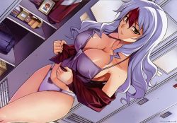 Rule 34 | 1girl, absurdres, amelia evans, bag, breasts, brown hair, camisole, cleavage, dutch angle, female focus, freezing (series), handbag, highres, huge filesize, kim kwang hyun, large breasts, legs, light purple hair, locker, long hair, multicolored hair, official art, panties, photo (object), picture frame, purple panties, red hair, scan, shirt, solo, thighs, two-tone hair, underwear, undressing, white hair, yellow eyes
