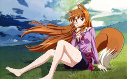 Rule 34 | 00s, 1girl, animal ears, arakawa megumi, barefoot, brown hair, cloud, day, feet, grass, highres, holo, long hair, outdoors, red eyes, sky, smile, solo, spice and wolf, tail, wallpaper, wolf ears, wolf tail