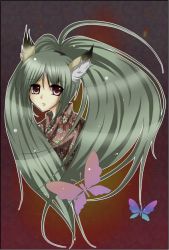 Rule 34 | animal ears, bad id, bad pixiv id, bug, butterfly, fang, fox ears, green hair, insect, long hair, michi, original, ponytail, red eyes, solo