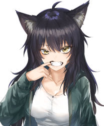 Rule 34 | 1girl, absurdres, ahoge, animal ear fluff, animal ears, black hair, blush, breasts, brown eyes, collarbone, commentary, commission, fangs, finger in own mouth, gike, green jacket, highres, jacket, kanniiepan, large breasts, long hair, long sleeves, looking at viewer, original, shirt, simple background, solo, white background, white shirt, wolf ears