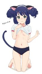 Rule 34 | animal ears, barefoot, blue hair, blush, breasts, buruma, cat ears, cat tail, clothes lift, cyan (show by rock!!), green eyes, groin, gym shirt, heart, heart-shaped pupils, highres, kneeling, looking at viewer, navel, no bra, osame, ringlets, shirt, shirt lift, short hair, show by rock!!, simple background, small breasts, solo, star (symbol), sweat, symbol-shaped pupils, tail, white background