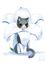 Rule 34 | :3, animal, artist name, black cat, cat, closed mouth, flower, full body, looking at viewer, no humans, original, pump (pumpqmuq), simple background, sitting, sketch, smile, whiskers, white background, white flower, yellow eyes