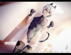 Rule 34 | 1girl, animal ears, animal hands, bad id, bad pixiv id, black thighhighs, breasts, cat ears, cat paws, cat tail, covered erect nipples, covered navel, highleg, highleg leotard, leotard, looking at viewer, original, red eyes, short hair, silver hair, small breasts, solo, tail, tazuma (u283), thighhighs