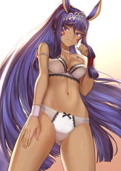 Rule 34 | 1girl, animal ears, blunt bangs, bra, breasts, cleavage, commentary, cowboy shot, dark-skinned female, dark skin, earrings, facial mark, fate/grand order, fate (series), from below, gradient background, hair tubes, hand on own thigh, hand up, highres, hoop earrings, jewelry, lace, lace-trimmed bra, lace trim, long hair, looking at viewer, mashuu (neko no oyashiro), medium breasts, navel, necklace, nitocris (fate), nitocris (fate/grand order), nitocris (swimsuit assassin) (fate), nitocris (swimsuit assassin) (third ascension) (fate), panties, ponytail, purple hair, sidelocks, simple background, smile, solo, strap slip, tiara, underwear, underwear only, very long hair, white bra, white panties, wristband