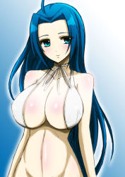 Rule 34 | 00s, 1girl, ahoge, bare shoulders, blue hair, blush, breasts, cleavage, groin, highres, idolmaster, idolmaster (classic), large breasts, long hair, miura azusa, solo, swimsuit, wakame
