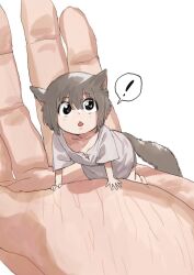 Rule 34 | !, 1girl, :o, all fours, animal ears, brown hair, brown shorts, grey shirt, in palm, looking at viewer, medium hair, megame (okbnkn), mini person, minigirl, original, photo-referenced, shirt, short sleeves, shorts, solo, spoken exclamation mark, tail