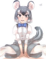 Rule 34 | 1girl, :d, animal ear fluff, animal ears, between legs, blue bow, blue bowtie, bow, bowtie, brown eyes, chinchilla (kemono friends), commentary request, grey hair, grey shorts, hand between legs, highres, juliet sleeves, kemono friends, long sleeves, looking at viewer, multicolored hair, open mouth, pantyhose, pantyhose under shorts, puffy sleeves, shirt, short hair, shorts, simple background, sitting, smile, solo, spread legs, tail, thin (suzuneya), two-tone hair, white background, white hair, white pantyhose, white shirt