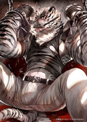 Rule 34 | 1boy, animal ears, arknights, artcheetah, bara, black tank top, bound, bound arms, bulge, chain, chain necklace, choker, clothes lift, furry, furry male, highres, jewelry, male focus, midriff peek, mountain (arknights), muscular, muscular male, necklace, pants, pectorals, scar, scar across eye, scar on face, sexually suggestive, shirt, shirt lift, short hair, sidepec, solo, spread legs, tank top, tiger boy, tiger ears, tongue, tongue out, torn clothes, torn shirt, white fur, white hair, white pants